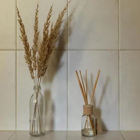 Vilka Orlik Apartment *