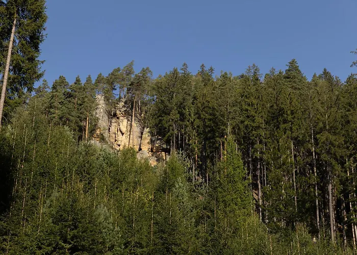 Vilka Orlik *