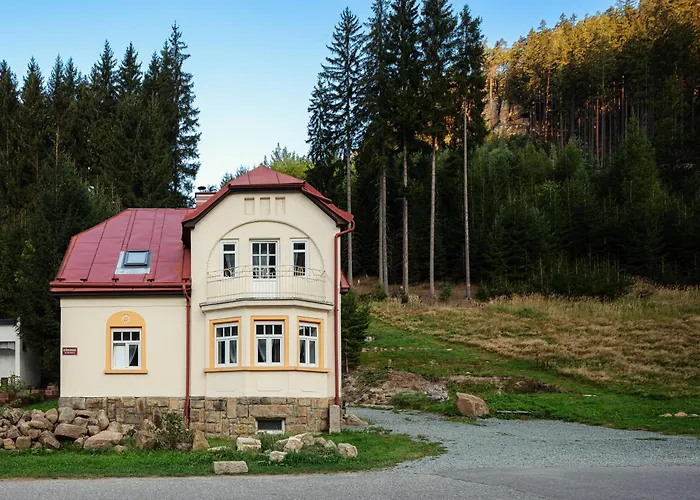 Lägenhet Vilka Orlik *